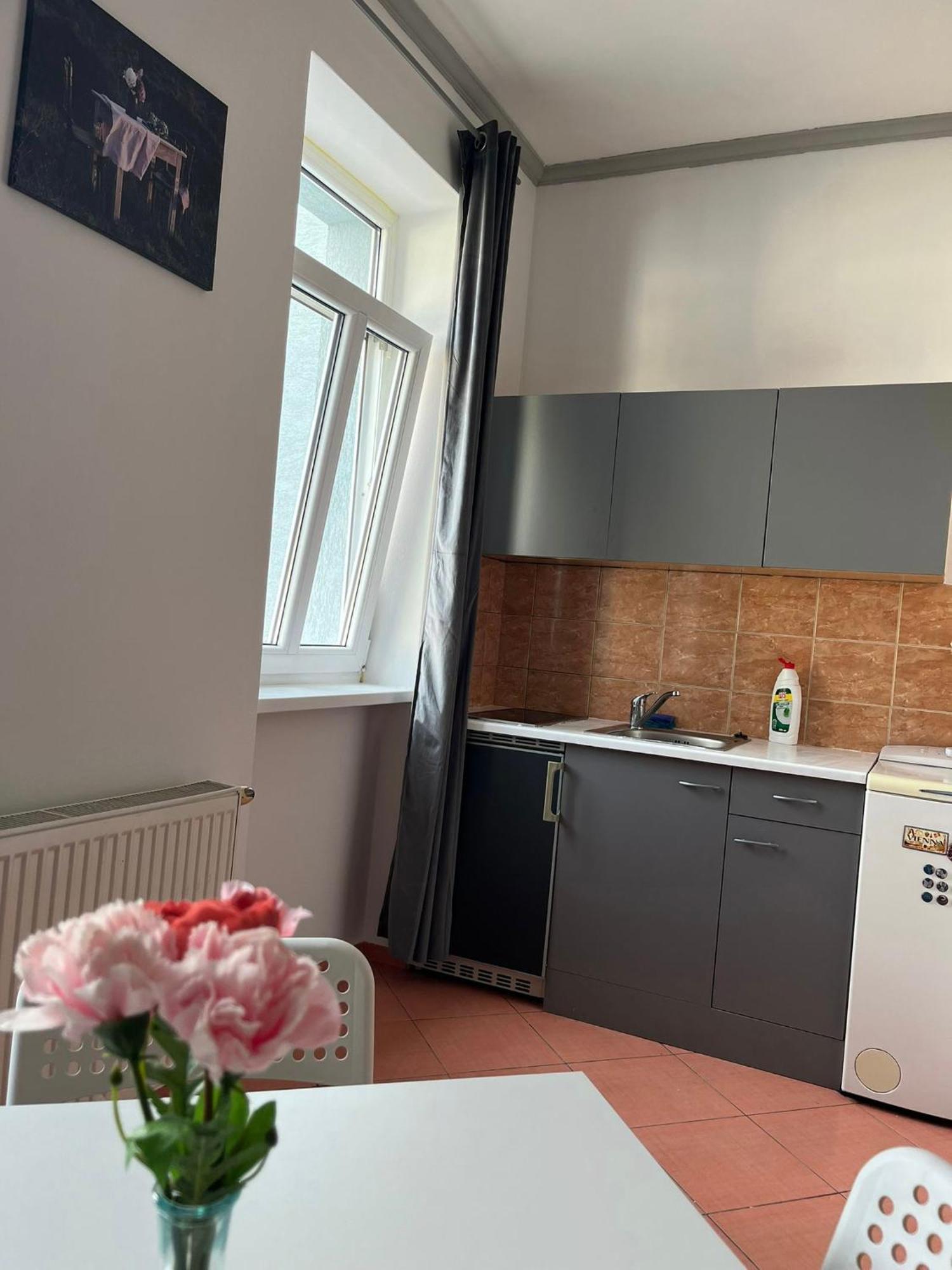 1St Plaza Apartment ブラチスラヴァ エクステリア 写真